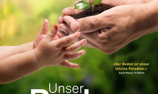 image-768-63ebd137af34fd2ee04e10922868f870.jpeg image-768-63ebd137af34fd2ee04e10922868f870.jpeg