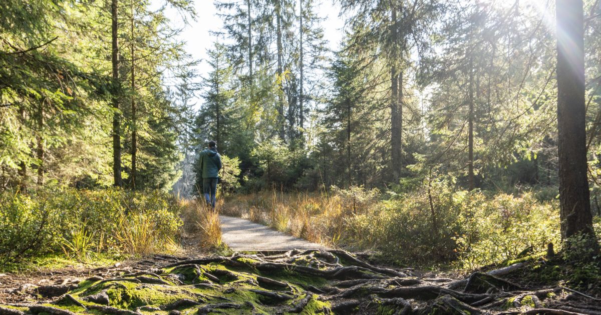 Europaschutzgebiet Fohramoos Dornbirn Tourismus & Stadtmarketing GmbH