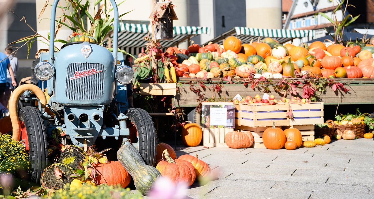 Herbstmarkt_21_BY_MATTHIAS_RHOMBERG_012