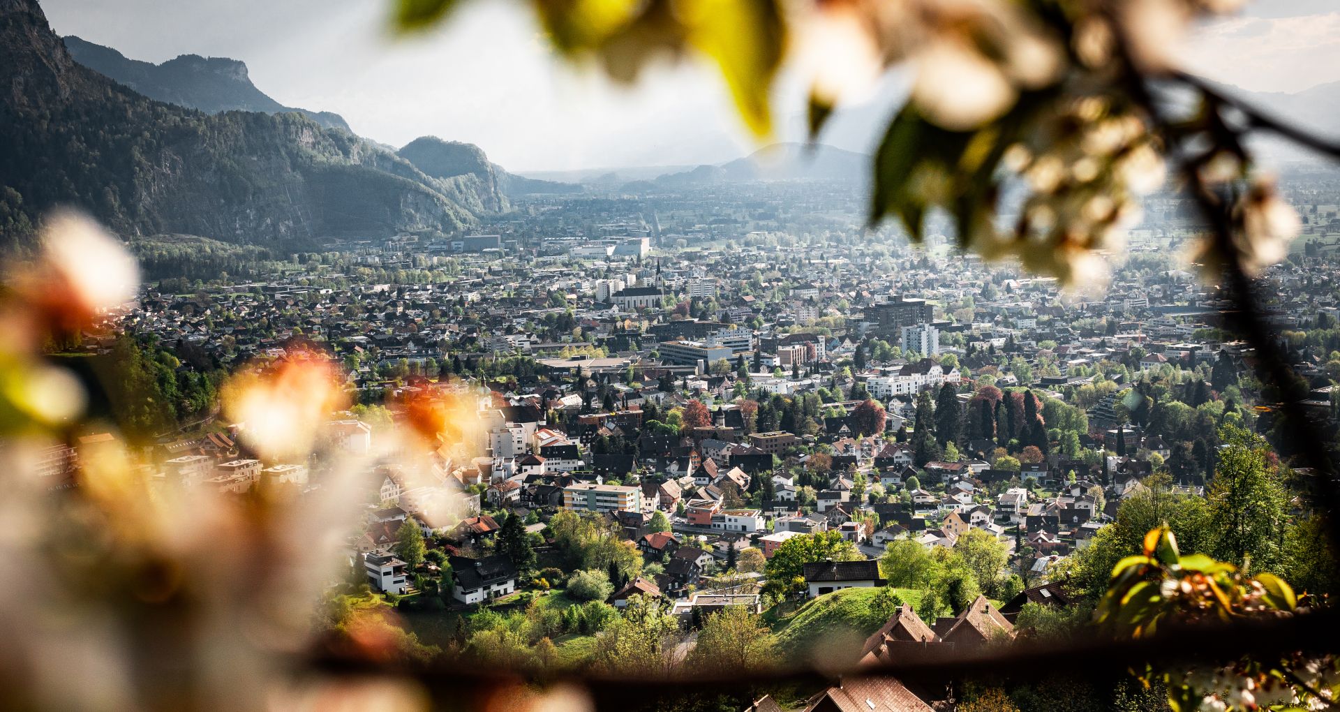 Dornbirn Umgebung (c) Studio Fasching - Dornbirn Tourismus & Stadtmarketing GmbH Dornbirn Umgebung (c) Studio Fasching - Dornbirn Tourismus & Stadtmarketing GmbH