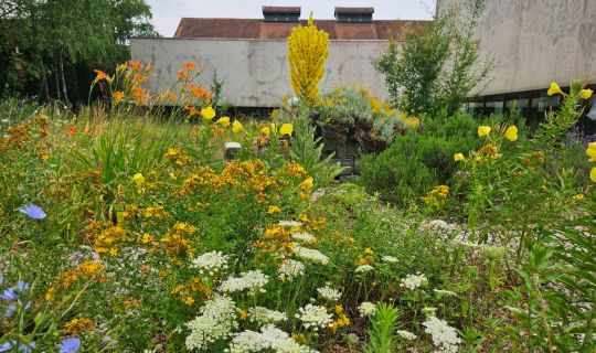 Kräutergarten 4 ©inatura.jpg Kräutergarten 4 ©inatura.jpg