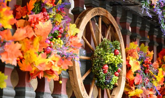 Martinimarkt_23_BY_EVA_SUTTER_072