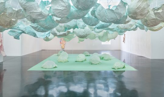 Karla Black The New Art Gallery Walsall, 2023, Photo Ilona Zielins.jpg Karla Black The New Art Gallery Walsall, 2023, Photo Ilona Zielins.jpg