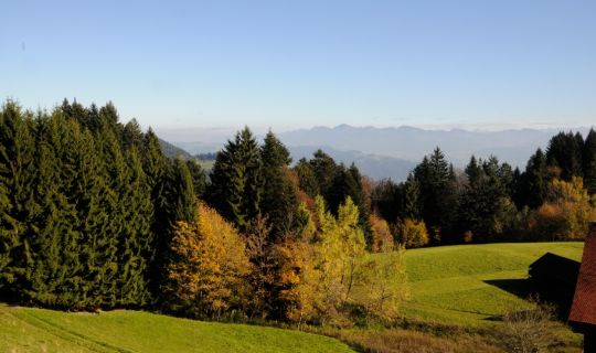 Peter Freiberger Herbststimmung am Pfänder â im Hintergrund Gipfel im Bregenzerwald.