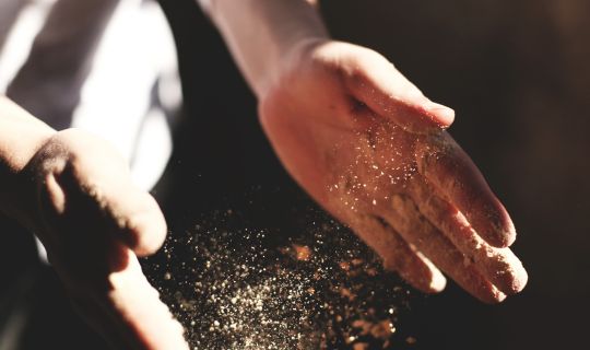 austin-ban-IS6RwpuEJpY-unsplash Bäckerei Mangold austin-ban-IS6RwpuEJpY-unsplash Bäckerei Mangold