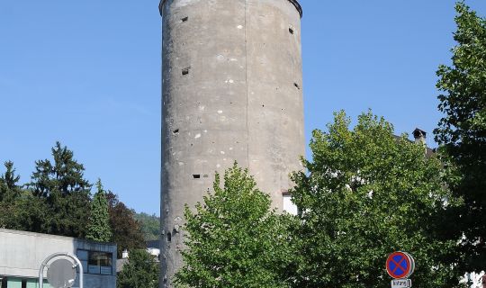 Friedrich Böhringer Katzenturm