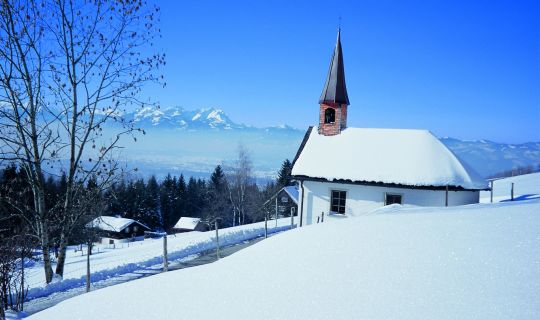 Helmut Tiefenthaler Geisbirn/Bildstein