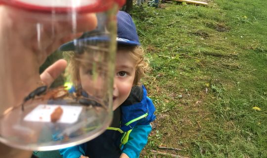 Out of the box _c inatura.jpg Out of the box _c inatura.jpg