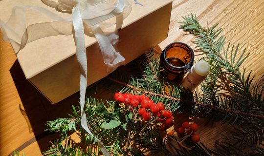 2026-11-24-kraeuterworkshop-sinnvoll-schenken-mit-kraeutern-diy.jpg