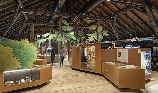 Gemeinsam durch's Museum c_Petra_Rainer.jpg Gemeinsam durch's Museum c_Petra_Rainer.jpg