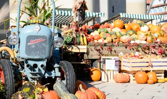 Herbstmarkt MATTHIAS RHOMBERG