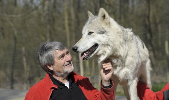 Kurt_Kotrschal_Timberwolf_Chitto@WSC.jpg Kurt_Kotrschal_Timberwolf_Chitto@WSC.jpg