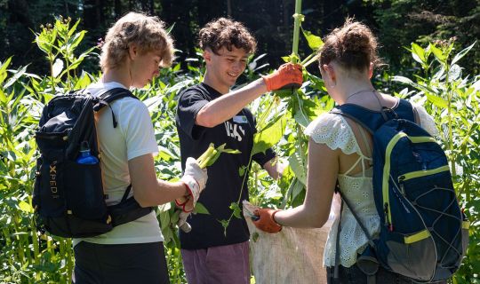 MACHWAS-Tage 2026 Infoveranstaltung