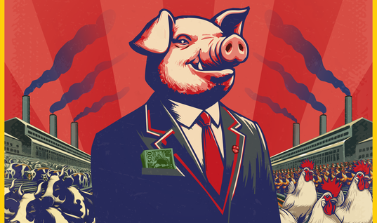 image-768-b8c3652b4d4d574e919be85c1ceac61a.png image-768-b8c3652b4d4d574e919be85c1ceac61a.png