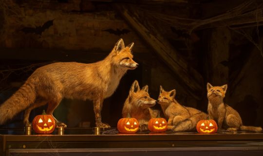 Gemeinsam im Museum â Halloween © KI generiert.jpg Gemeinsam im Museum â Halloween © KI generiert.jpg