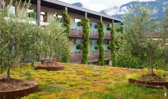 Aufbäumen â mit Dachgärten und Grünfassaden_© Conrad Amber.jpg Aufbäumen â mit Dachgärten und Grünfassaden_© Conrad Amber.jpg