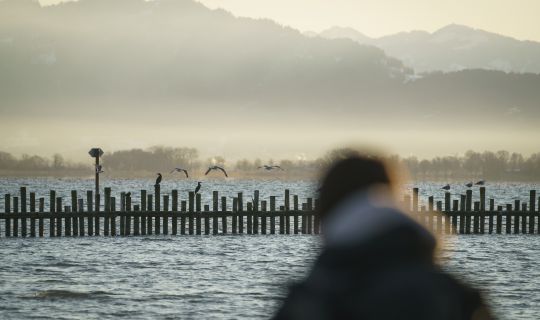 Birdwatching Rheinspitz Johanna Kronberger (c) Dietmar Denger - Vorarlberg Tourismus Birdwatching Rheinspitz Johanna Kronberger (c) Dietmar Denger - Vorarlberg Tourismus