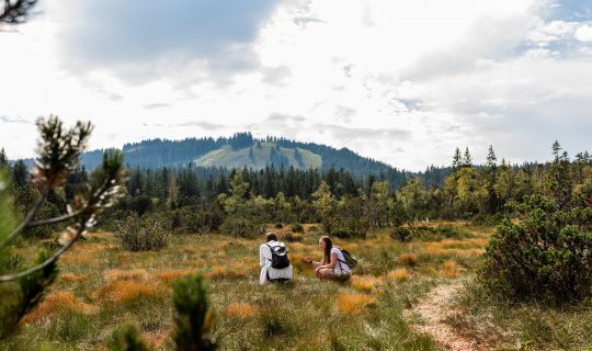 geführte Wanderung Fohramoos Naturerfahrung geführte Wanderung Fohramoos Naturerfahrung