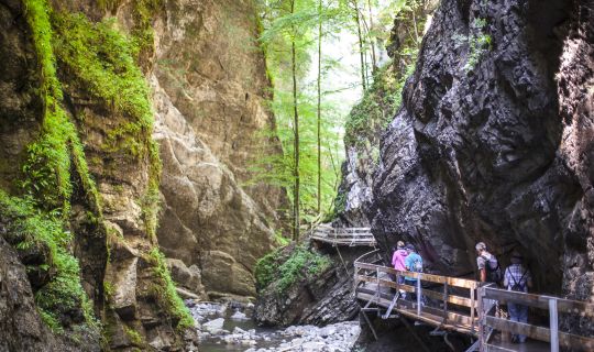 Rappenlochschlucht Rappenlochschlucht