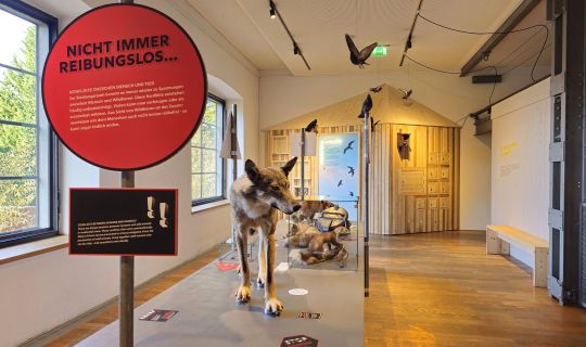 WildnisStadt-10 ©inatura.jpg WildnisStadt-10 ©inatura.jpg