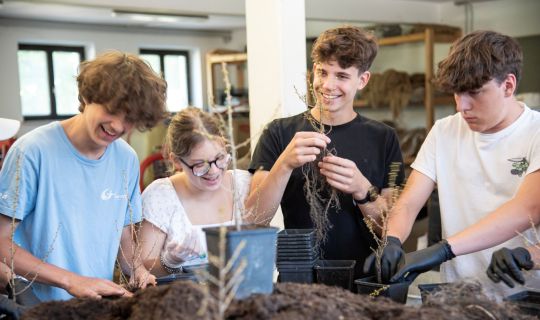 MACHWAS-Tage 2026 MACHWAS-Tage 2026