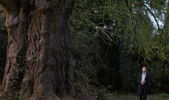 Silent_Friend__Still_klein__(c) Polyfilm.jpg