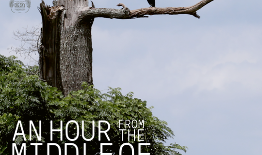 image-768-b46863b382d653b5f162a0b50a881c96.png image-768-b46863b382d653b5f162a0b50a881c96.png