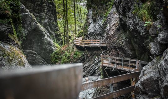 Rappenlochschlucht (c) Studio Fasching - Dornbirn Tourismus & Stadtmarketing GmbH Rappenlochschlucht (c) Studio Fasching - Dornbirn Tourismus & Stadtmarketing GmbH