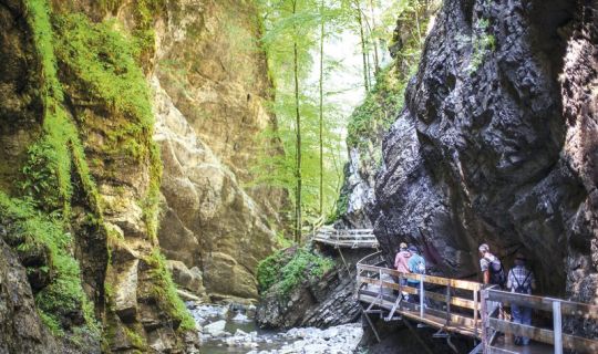 Rappenlochschlucht.jpg