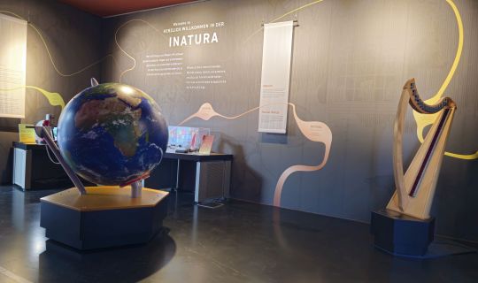 inatura Dornbirn - Bereich Intro (c) inatura inatura - Introbereich 2_Foto inatura.jpg