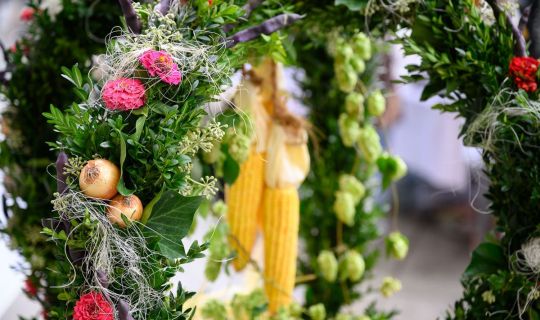 Herbstmarkt_24_BY_MATTHIAS_RHOMBERG_065.jpg Herbstmarkt_24_BY_MATTHIAS_RHOMBERG_065.jpg