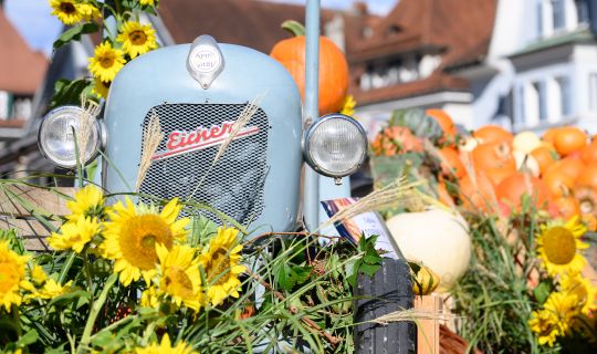 Herbstmarkt_24_BY_MATTHIAS_RHOMBERG_014Herbstmarkt Herbstmarkt_24_BY_MATTHIAS_RHOMBERG_014Herbstmarkt