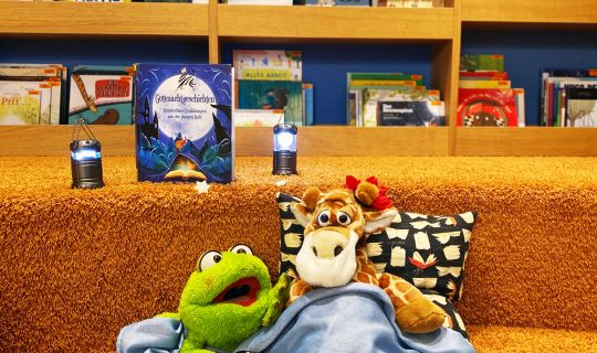 stofftier übernachtung Ãsterreichische-Vorlesetag-Stofftier-Vorlese-Ãbernachtungsparty-(c)-Stadtbibliothek.JPG