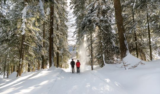 (c)Gabi Metzler Photography (3).jpg (c)Gabi Metzler Photography (3).jpg