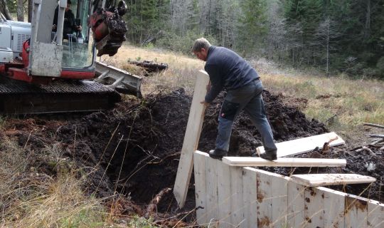 Das Renaturierungsgesetz _c Anne Puchta.jpg