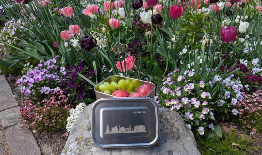 PXL_20250428_122658321