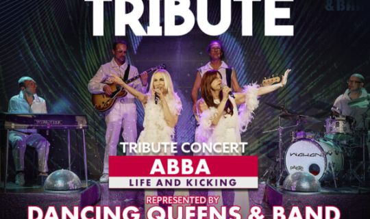 1128-nights-of-tribute-dancing-queens-598x748.jpg 1128-nights-of-tribute-dancing-queens-598x748.jpg