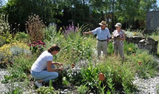 Kräutergartentreff_Bild KI bearbeitet (1).jpg Kräutergartentreff_Bild KI bearbeitet (1).jpg