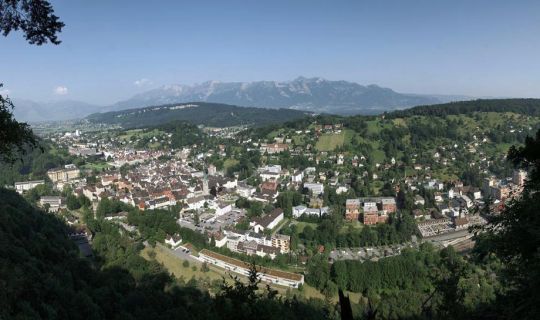 Friedrich Böhringer Feldkirch