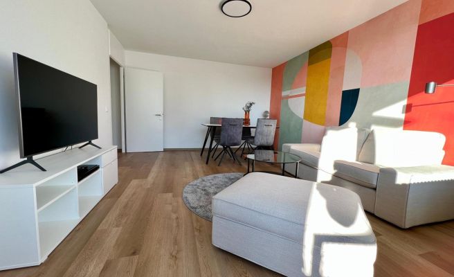 Apartment Popular Apartment Popular