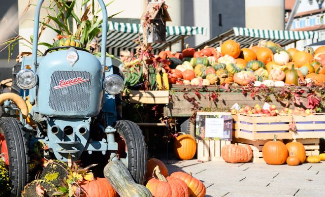 Herbstmarkt MATTHIAS RHOMBERG Herbstmarkt MATTHIAS RHOMBERG