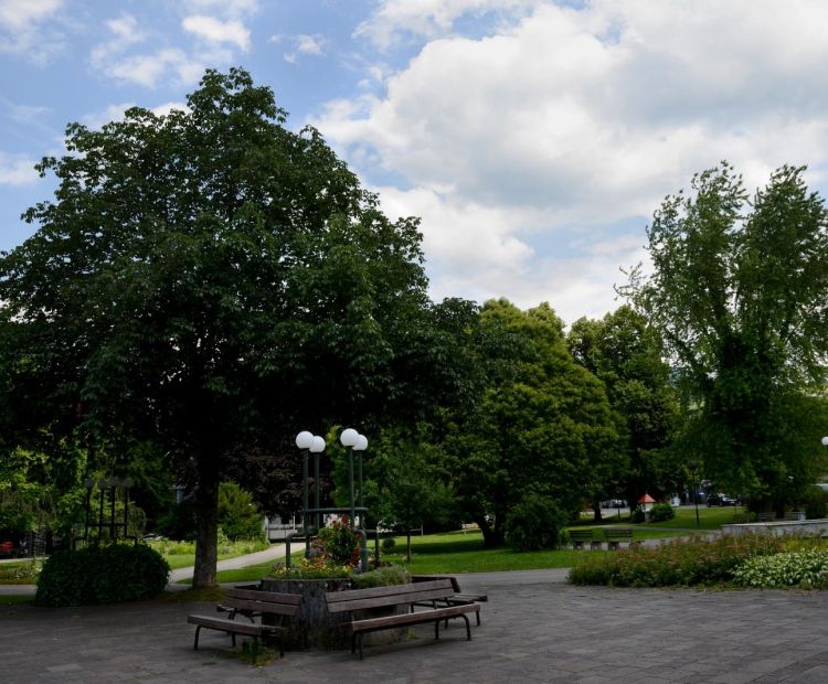 Barbara Neyer .jpg.jpeg