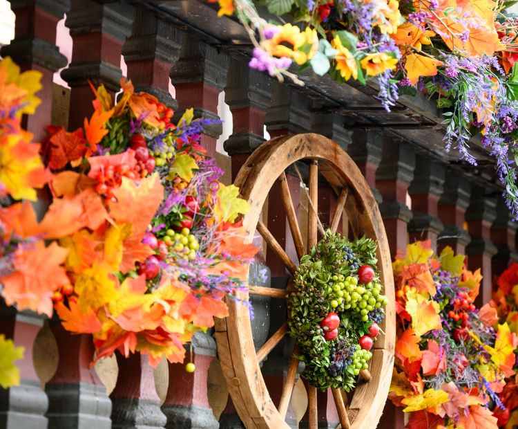 Martinimarkt_23_BY_EVA_SUTTER_072 Martinimarkt_23_BY_EVA_SUTTER_072