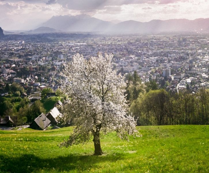 c_fasching_photo_2004_Dornbirn_Frühjahr_TB_3_original-1920x600