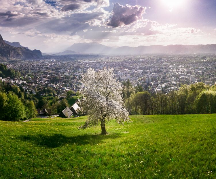 Dornbirn Umgebung (c) Studio Fasching - Dornbirn Tourismus _ Stadtmarketing GmbH  (1)