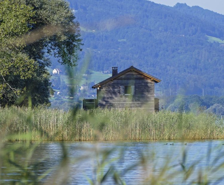 Bootshaus Gaissau Bootshaus Gaissau