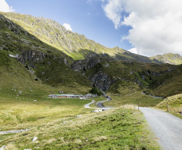 Weg zur Verbellaalpe