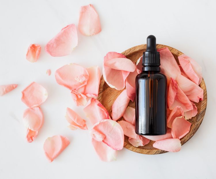 Gesundheit Gesundheit