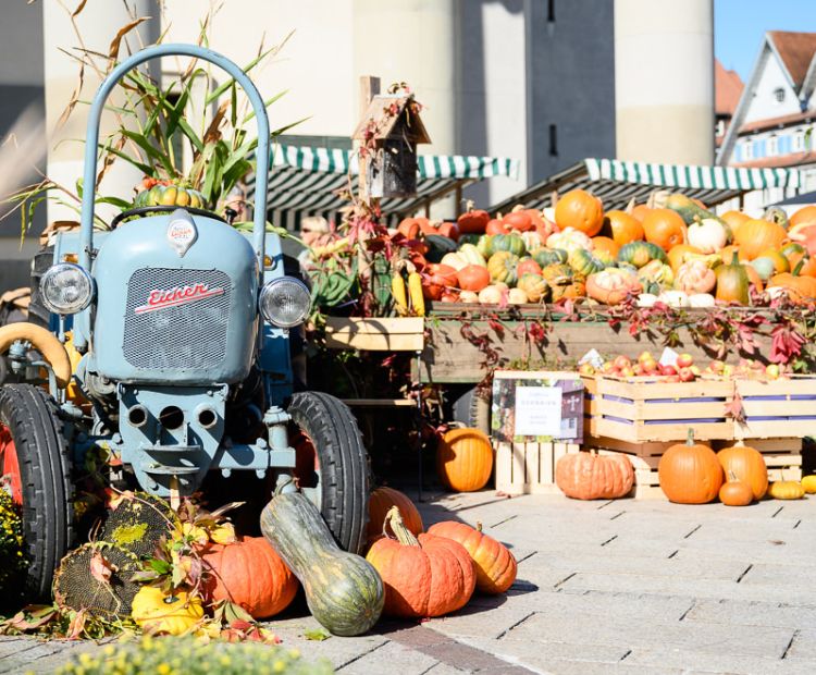 Herbstmarkt MATTHIAS RHOMBERG