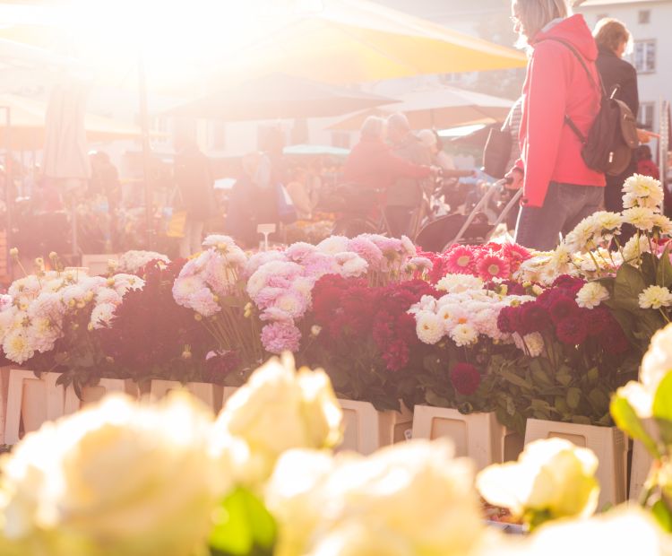 Wochenmarkt (c) Studio Fasching - Dornbirn Tourismus _ Stadtmarketing GmbH  (10)